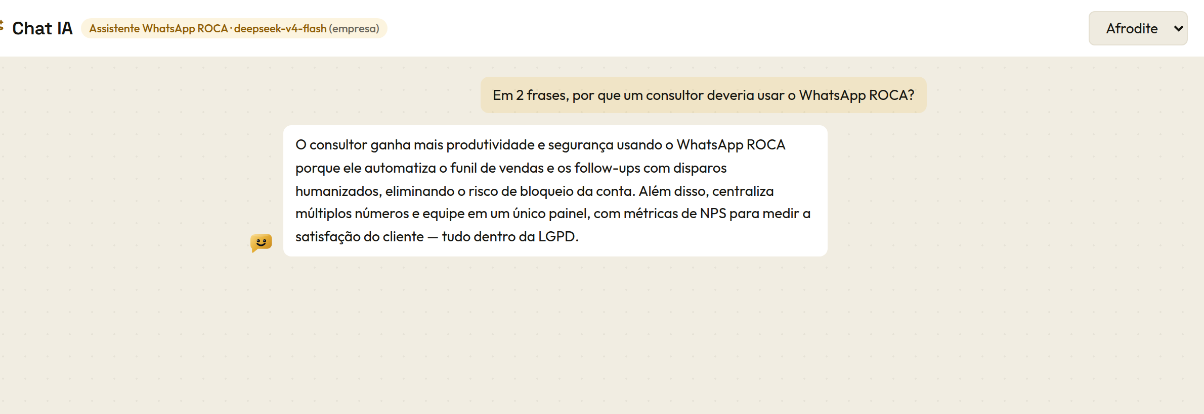 Chat IA da LiderFlow